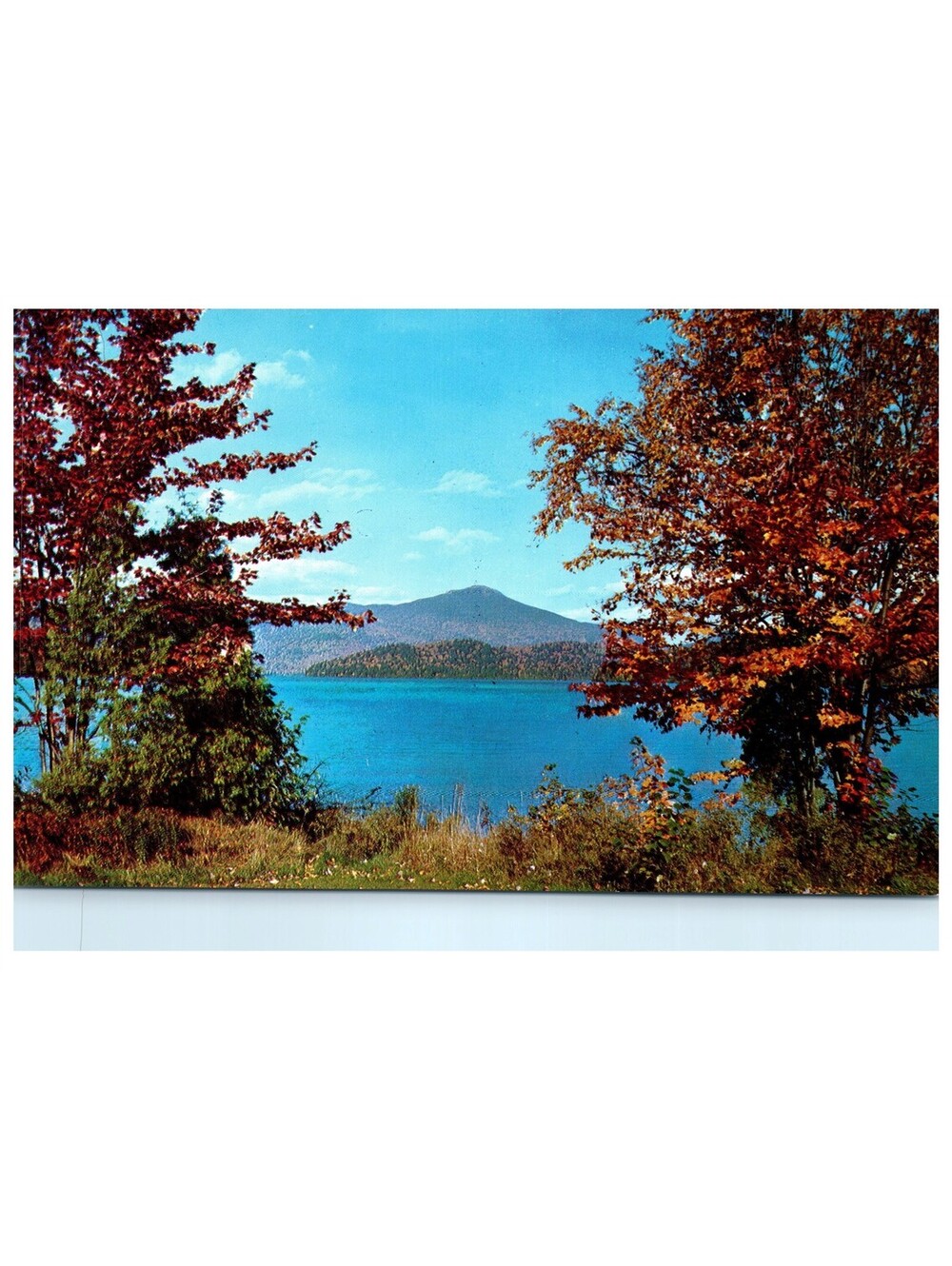Vintage Postcard New England Autumn Vista Lake and Mountains Forest Old Stock